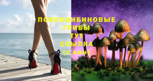 твердый Баксан