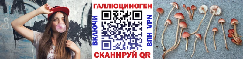 Галлюциногенные грибы прущие грибы Куровское