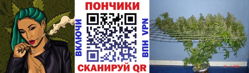 МАРИХУАНА план  Куровское 